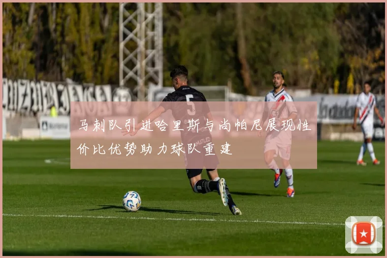 马刺队引进哈里斯与尚帕尼展现性价比优势助力球队重建