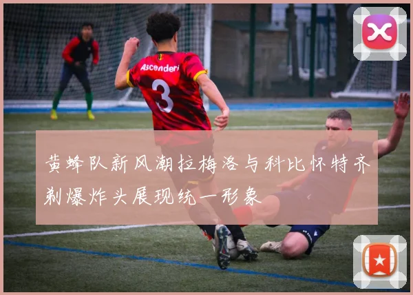 黄蜂队新风潮拉梅洛与科比怀特齐剃爆炸头展现统一形象